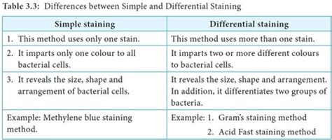 Gram Staining Lab 8 Flashcards Quizlet