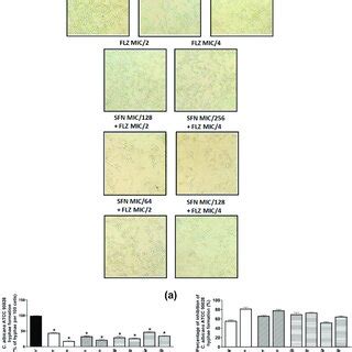 Effects Of Sulforaphane SFN And Fluconazole FLZ On Hyphae Formation