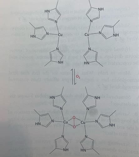 Biochem Exam Practice Questions Flashcards Quizlet