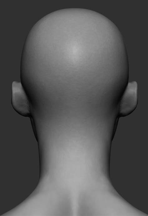 Female Head 3d Model 59 Obj Ztl Free3d