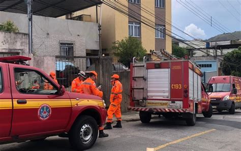 Idosa Morre Atacada Por Pitbull Em Juiz De Fora Zona Da Mata G