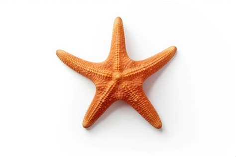 Premium Photo Stunning Starfish A Captivating White Background Isolation