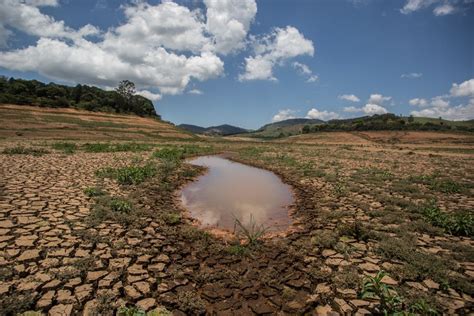 Uso De Gua Pela Atividade Pecu Ria No Brasil