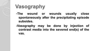 Vasovasostomy | PPT