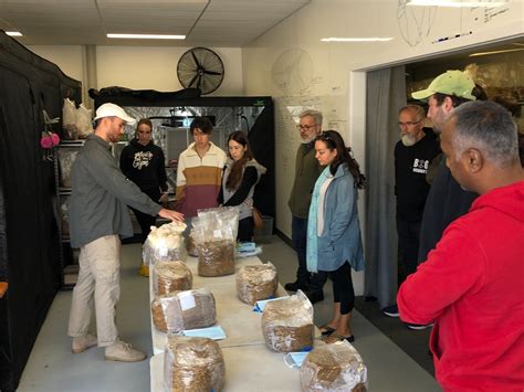 Workshops — Melbourne Mushrooms