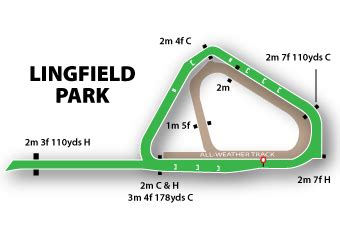 Lingfield Park Races | Racecourse Guide, Help & Tips