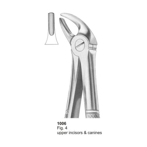 Fig Upper Incisors And Canines Dental Extracting Forcep Charisma Tech