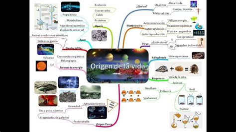 Mapa Conceptual De Las Teorias De La Vida Actualizado Enero 2025