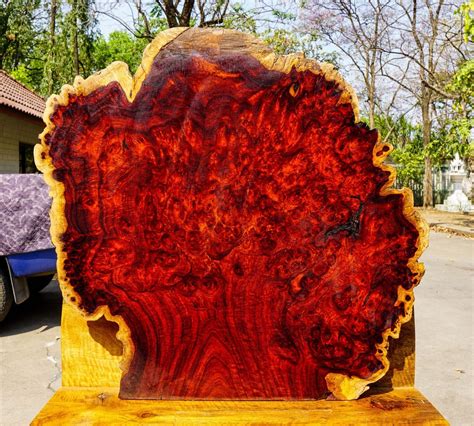 Red Amboyna Burl Lumber Live Edge Natural Slab Wood Resin Epoxy Diy