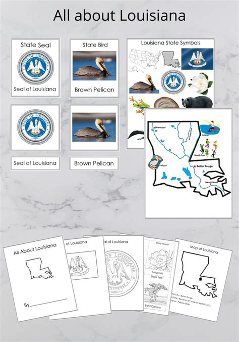 Montessori Inspired Usa Louisiana State Symbol Cards Printable