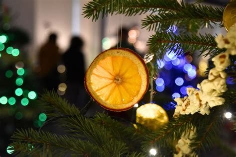 Adornos naturales que debes poner en tu árbol de Navidad para atraer el