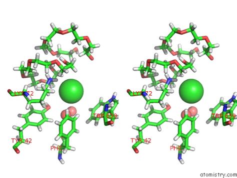 Chlorine In Pdb Nsv Crystal Structure Of The Human Chip Tpr Domain In