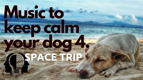 Musica Rilassante Per Cani Soli E Ansiosi Che Abbaiano KEEP CALM YOUR