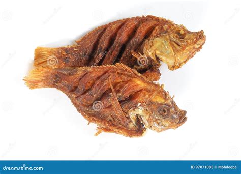 Deep fried tilapia fish stock image. Image of cuisine - 97871083