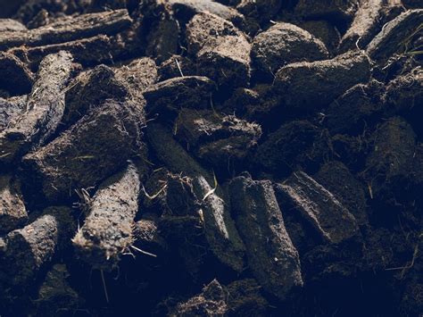 peat  youve  wanted    whisky shop