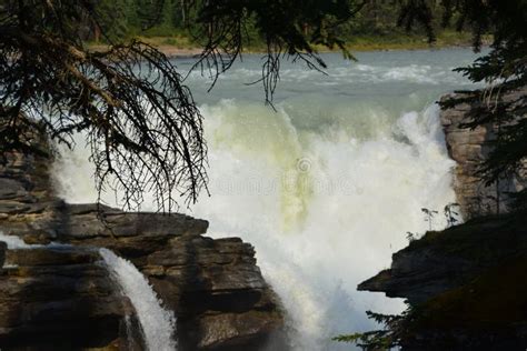 Athabasca Falls Canada stock photo. Image of bestview - 100143494