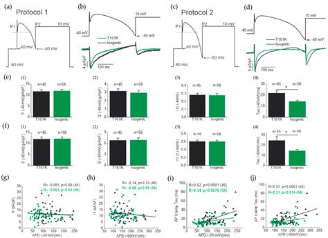 Biomedicines Free Full Text The Junctophilin 2 Mutation P