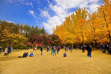 10 Spots in Korea Where Nature Is Front and Center - Soak in the ...