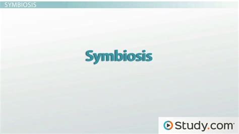 Symbiosis | Definition, Types & Examples - Lesson | Study.com