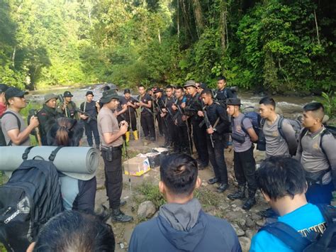 Kementerian Jarang Yang Tahu Ini Sederet Khasiat Daun Pecah Beling