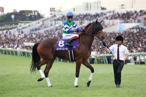 【bcフィリー＆メアスプリント】メイケイエールは6番ゲート！初ダートで悲願のg1初制覇へ 海外 競馬写真ニュース 日刊スポーツ