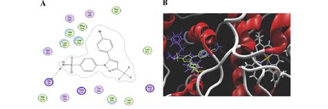 A Docking Of COX 2 With Compound SC 558 In 2D Diagram B And