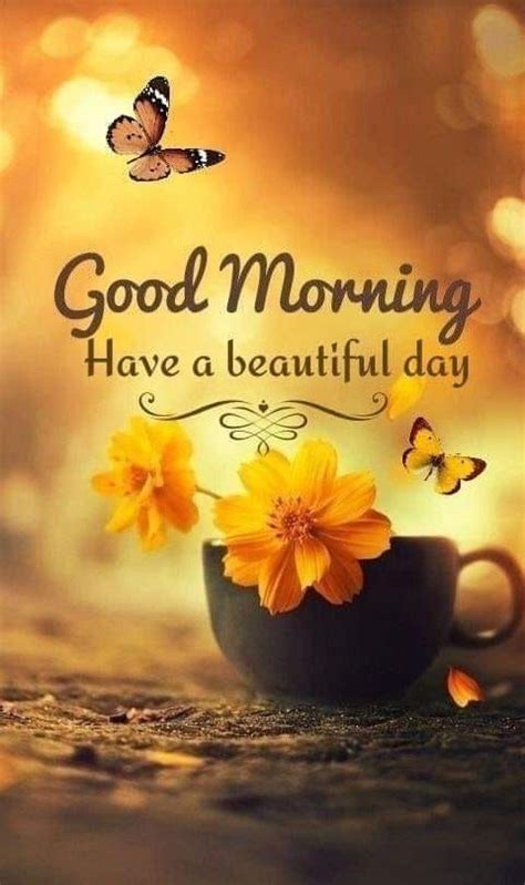 Some Yellow Flowers In A Cup With The Words Good Morning Have A