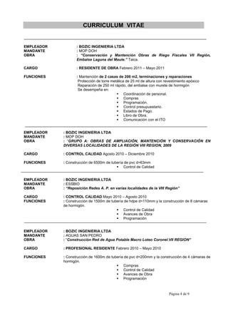 CURRICULUM VITAE 3 3 Patron Stgo PDF Descarga Gratuita