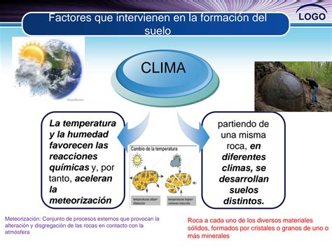 Solution Factores Que Intervienen En La Formaci N Del Suelo Studypool