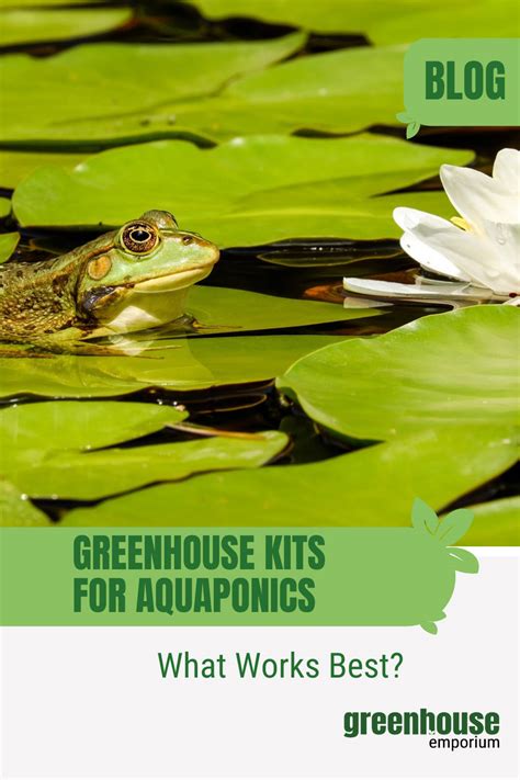 How To Build An Aquaponics Greenhouse (Guide & Tips)