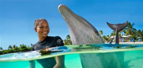 Swimming With Dolphins At Dolphin Cay Dolphin Habitat Atlantis Paradise Island Atlantis