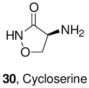 29: Structure of Cycloserine 30. | Download Scientific Diagram