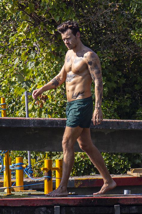 Harry Styles Shows Off His Rippling Abs As He Goes For A Dip During The