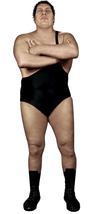 Andre The Giant Wwe