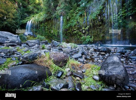 Mossbrae Falls falling into the Sacramento River, Shasta Cascade area ...