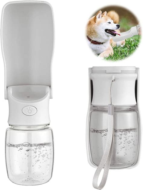 Gourde Pour Chien Pliable Pour Les D Placements Bouteille D Eau