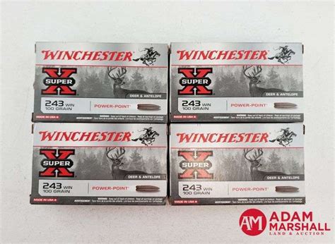 Winchester Super X Power Point 243 Win 100 Gr 4 X 20 Adam