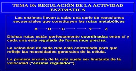 Tema Regulaci N De La Actividad Enzim Tica Las Enzimas Llevan A