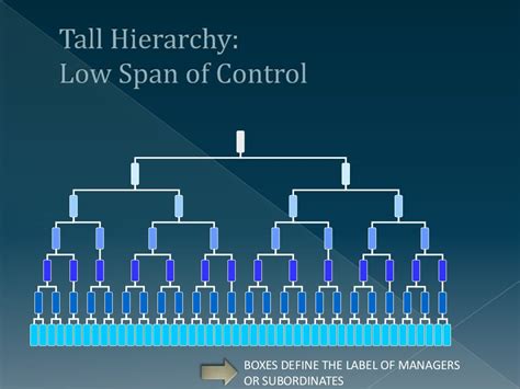 Span of Control (Management)