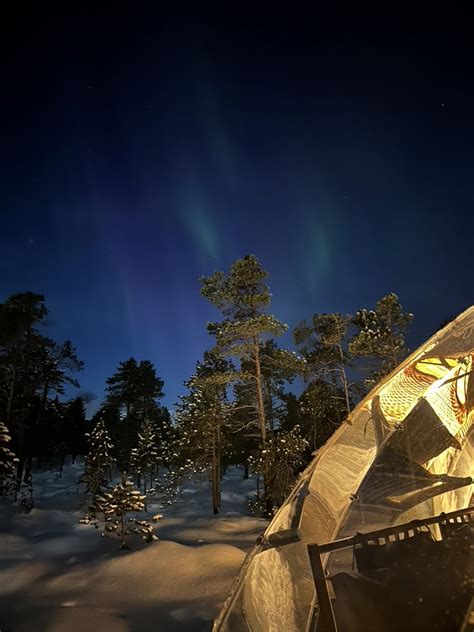 Northern lights - Norwegian Aurora glass igloo in Tromso region ...