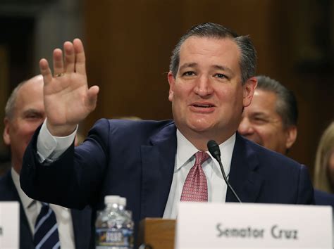 Ted Cruz Was Bagged Liking An Extremely Nsfw Video On Twitter And The