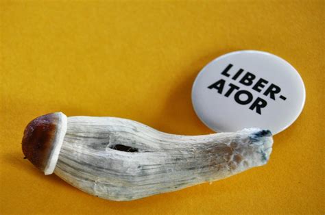 Liberator Jedi Mind Fuck Mushroom Decriminalize Nature Print Etsy