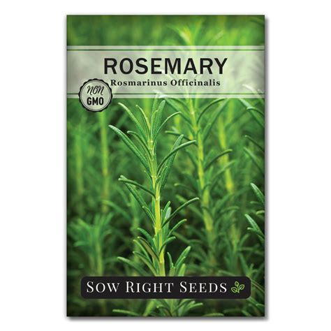 Rosemary Seeds | Extremely Fragrant Herb for Planting – Sow Right Seeds