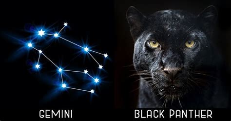 Animal spirit for your zodiac sign