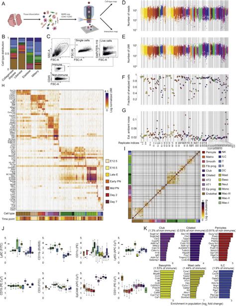 Lung Single Cell Signaling Interaction Map Reveals Basophil Role In