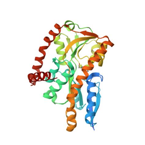 RCSB PDB 4PGP CRYSTAL STRUCTURE OF A TRAP PERIPLASMIC SOLUTE BINDING