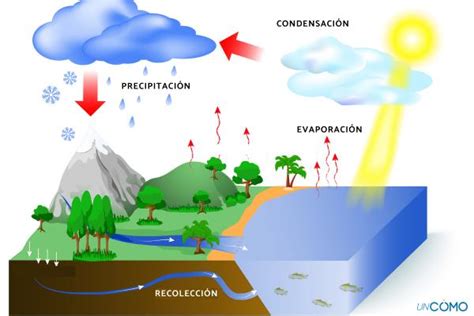 El ciclo del Agua