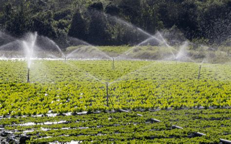 Irrigação por Aspersão AgroPós