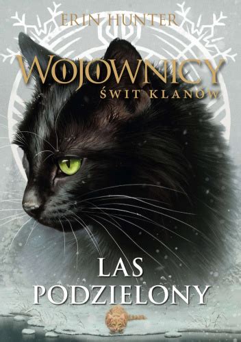 Wojownicy Wit Klan W Las Podzielony Erin Hunter Ksi Ka W