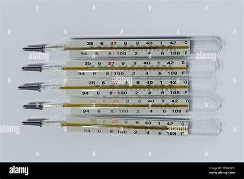 Science Glass Mercury Thermometer